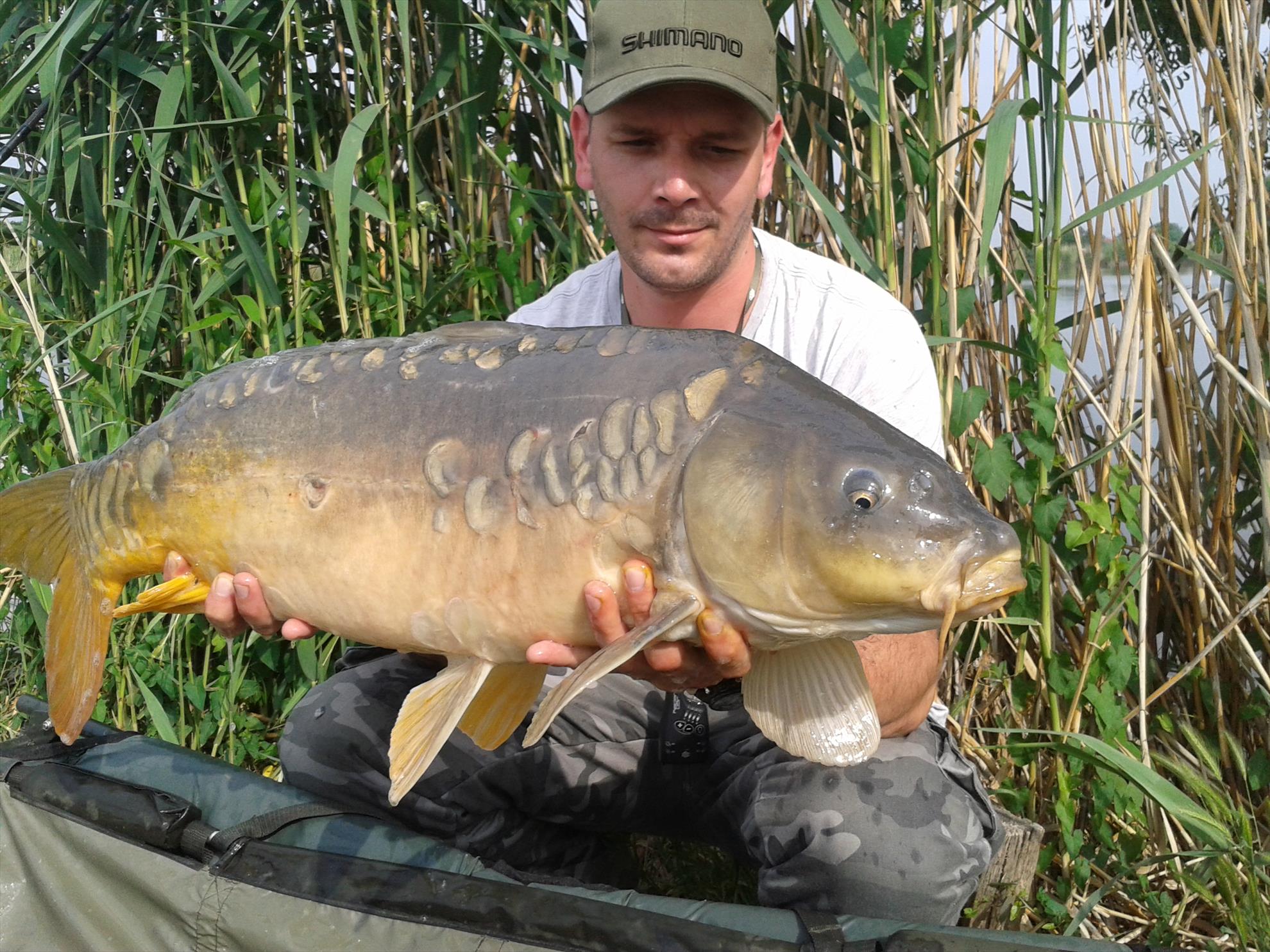 15-17.05.2015 - 20150517084252.jpg